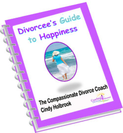 divorcee-guide-to-happpiness-cover